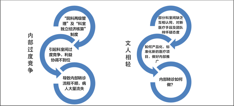 医疗延伸服务产品化创新项目咨询建议书(图6)