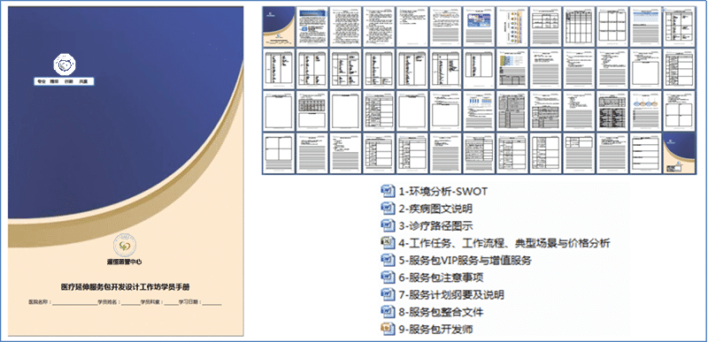 医疗延伸服务产品化创新项目咨询建议书(图13)