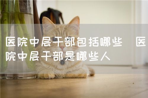 医院中层干部包括哪些（医院中层干部是哪些人）(图1)