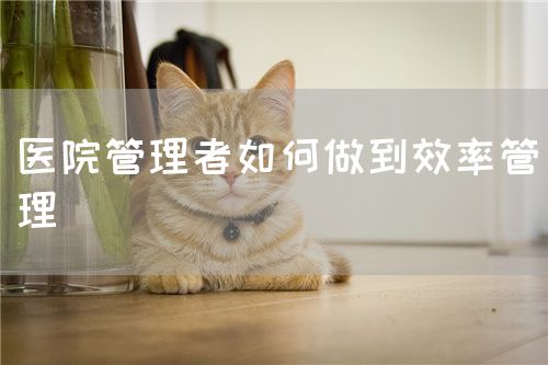 医院管理者如何做到效率管理(图1)