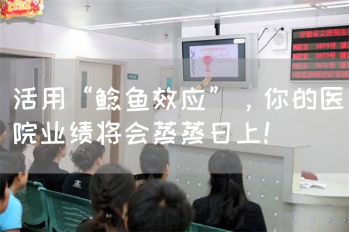 活用“鲶鱼效应”，你的医院业绩将会蒸蒸日上！(图1)