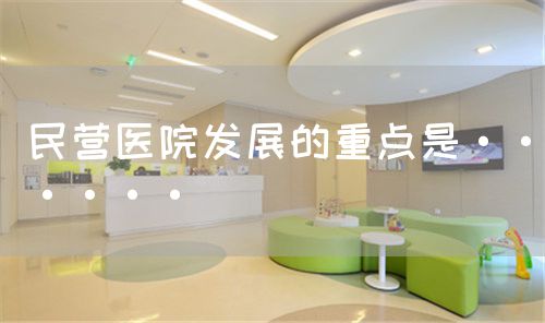 民营医院发展的重点是······(图1) 民营医院发展的重点是······(图1)