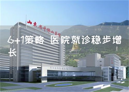 6+1策略 医院就诊稳步增长(图1)