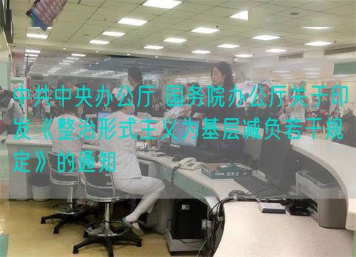 中共中央办公厅 国务院办公厅关于印发《整治形式主义为基层减负若干规定》的通知(图1)